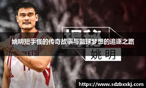 姚明短手怪的传奇故事与篮球梦想的追逐之路
