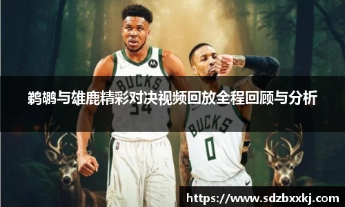 鹈鹕与雄鹿精彩对决视频回放全程回顾与分析